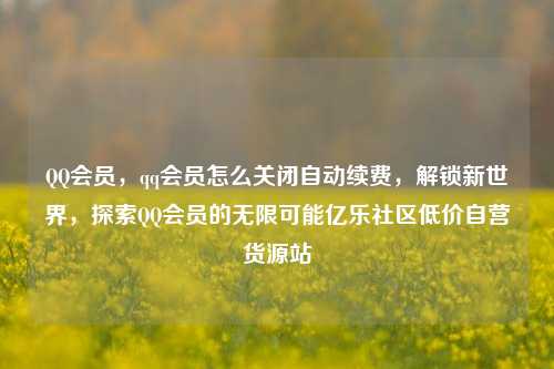 QQ会员	，qq会员怎么关闭自动续费，解锁新世界，探索QQ会员的无限可能亿乐社区低价自营货源站  第1张