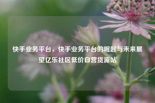快手业务平台	，快手业务平台的崛起与未来展望亿乐社区低价自营货源站  第1张