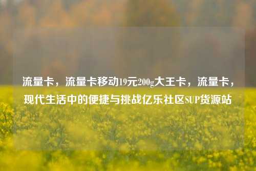 流量卡，流量卡移动19元200g大王卡，流量卡	，现代生活中的便捷与挑战亿乐社区SUP货源站  第1张