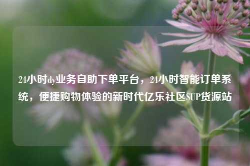 24小时dy业务自助下单平台，24小时智能订单系统，便捷购物体验的新时代亿乐社区SUP货源站  第1张