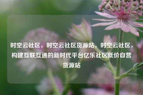 时空云社区，时空云社区货源站	，时空云社区，构建互联互通的新时代平台亿乐社区低价自营货源站  第1张