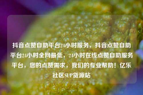 抖音点赞自助平台24小时服务，抖音点赞自助平台24小时全网最低	，24小时在线点赞自助服务平台，您的点赞需求，我们的专业帮助！亿乐社区SUP货源站  第1张