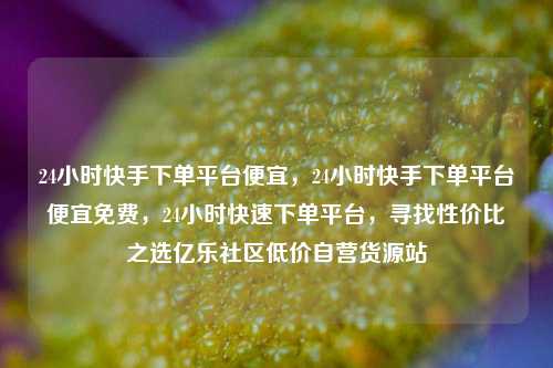 24小时快手下单平台便宜	，24小时快手下单平台便宜免费，24小时快速下单平台，寻找性价比之选亿乐社区低价自营货源站  第1张