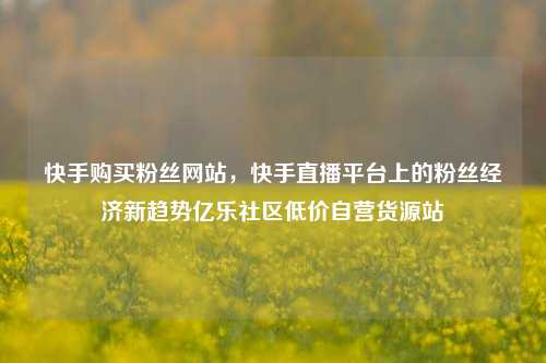 快手购买粉丝网站，快手直播平台上的粉丝经济新趋势亿乐社区低价自营货源站  第1张