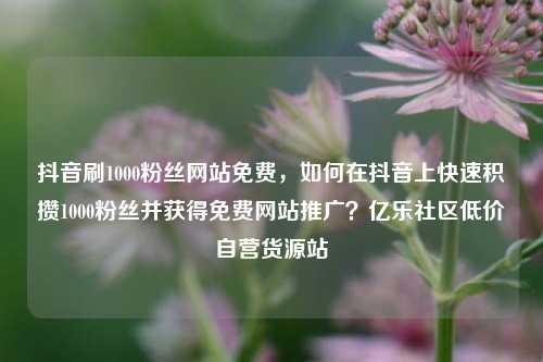 抖音刷1000粉丝网站免费	，如何在抖音上快速积攒1000粉丝并获得免费网站推广？亿乐社区低价自营货源站  第1张
