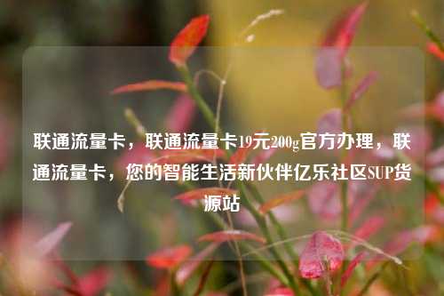 联通流量卡，联通流量卡19元200g官方办理	，联通流量卡，您的智能生活新伙伴亿乐社区SUP货源站  第1张