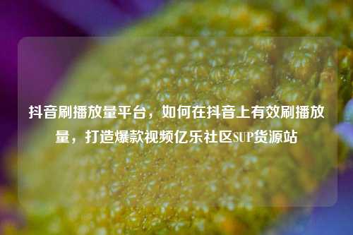 抖音刷播放量平台	，如何在抖音上有效刷播放量，打造爆款视频亿乐社区SUP货源站  第1张