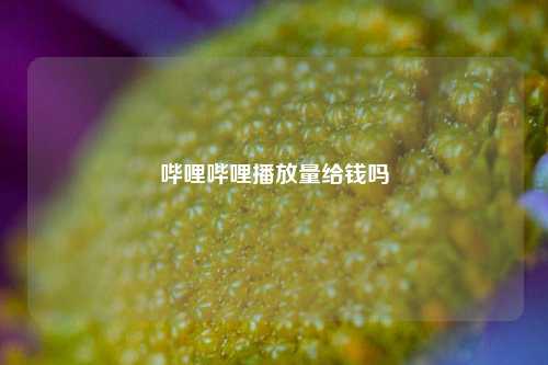 哔哩哔哩播放量给钱吗  第1张
