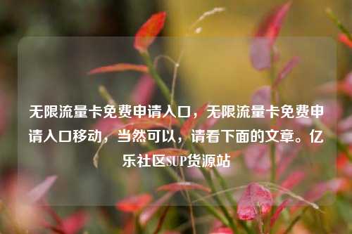 无限流量卡免费申请入口	，无限流量卡免费申请入口移动，当然可以，请看下面的文章。亿乐社区SUP货源站  第1张