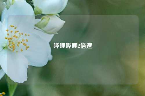 哔哩哔哩2倍速  第1张