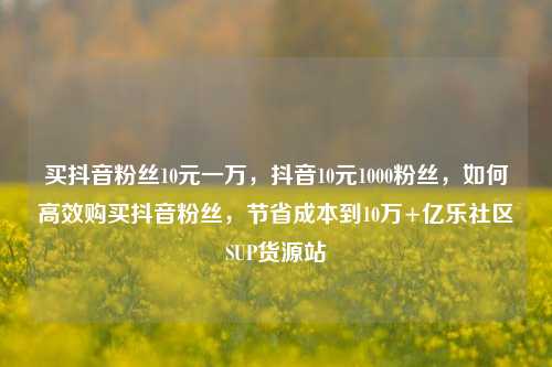 买抖音粉丝10元一万，抖音10元1000粉丝	，如何高效购买抖音粉丝，节省成本到10万+亿乐社区SUP货源站  第1张