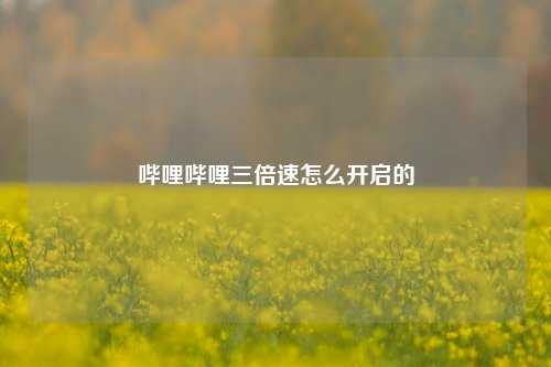 哔哩哔哩三倍速怎么开启的  第1张
