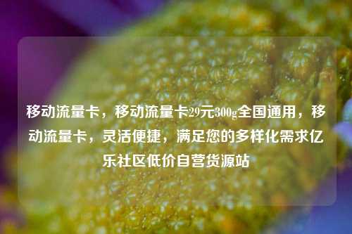移动流量卡，移动流量卡29元300g全国通用	，移动流量卡，灵活便捷，满足您的多样化需求亿乐社区低价自营货源站  第1张