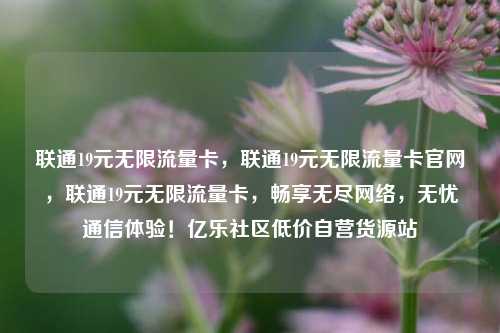 联通19元无限流量卡	，联通19元无限流量卡官网，联通19元无限流量卡，畅享无尽网络	，无忧通信体验！亿乐社区低价自营货源站  第1张