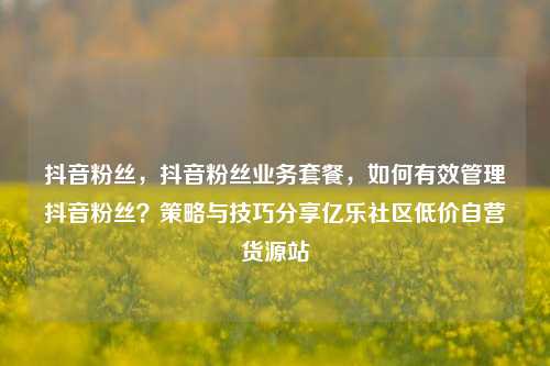 抖音粉丝，抖音粉丝业务套餐，如何有效管理抖音粉丝？策略与技巧分享亿乐社区低价自营货源站  第1张