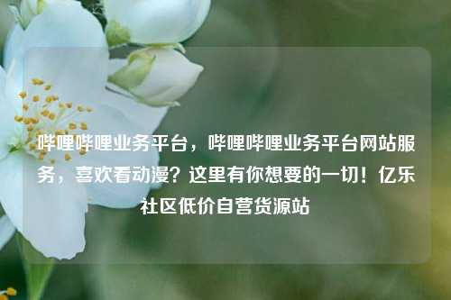 哔哩哔哩业务平台，哔哩哔哩业务平台网站服务，喜欢看动漫？这里有你想要的一切！亿乐社区低价自营货源站  第1张