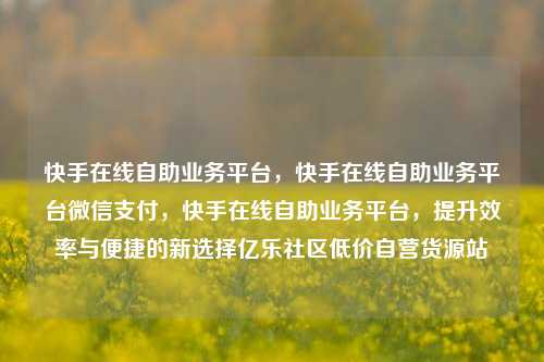 快手在线自助业务平台	，快手在线自助业务平台微信支付，快手在线自助业务平台，提升效率与便捷的新选择亿乐社区低价自营货源站  第1张