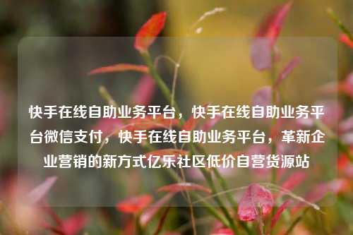 快手在线自助业务平台	，快手在线自助业务平台微信支付，快手在线自助业务平台，革新企业营销的新方式亿乐社区低价自营货源站  第1张