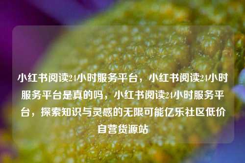 小红书阅读24小时服务平台，小红书阅读24小时服务平台是真的吗，小红书阅读24小时服务平台	，探索知识与灵感的无限可能亿乐社区低价自营货源站  第1张