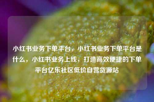 小红书业务下单平台，小红书业务下单平台是什么，小红书业务上线	，打造高效便捷的下单平台亿乐社区低价自营货源站  第1张