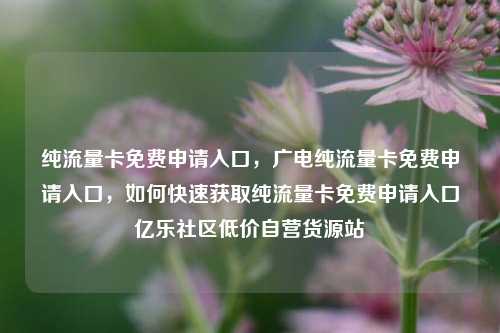 纯流量卡免费申请入口，广电纯流量卡免费申请入口，如何快速获取纯流量卡免费申请入口亿乐社区低价自营货源站  第1张
