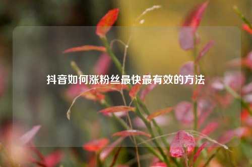 抖音如何涨粉丝最快最有效的方法  第1张
