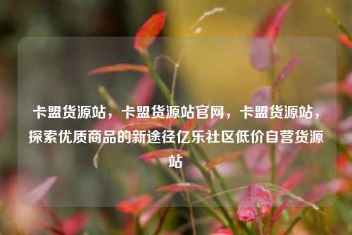 卡盟货源站，卡盟货源站官网	，卡盟货源站，探索优质商品的新途径亿乐社区低价自营货源站  第1张