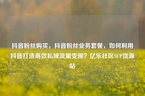 抖音粉丝购买，抖音粉丝业务套餐，如何利用抖音打造高效私域流量变现？亿乐社区SUP货源站  第1张