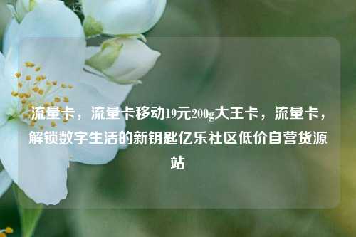 流量卡，流量卡移动19元200g大王卡，流量卡	，解锁数字生活的新钥匙亿乐社区低价自营货源站  第1张