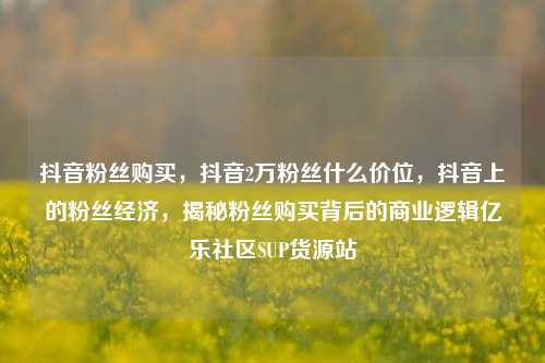 抖音粉丝购买，抖音2万粉丝什么价位	，抖音上的粉丝经济，揭秘粉丝购买背后的商业逻辑亿乐社区SUP货源站  第1张