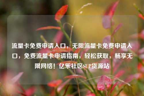 流量卡免费申请入口	，无限流量卡免费申请入口，免费流量卡申请指南，轻松获取	，畅享无限网络！亿乐社区SUP货源站  第1张