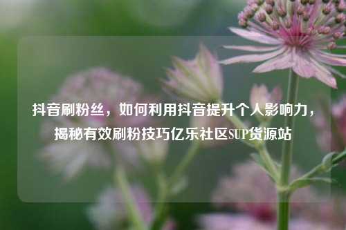 抖音刷粉丝，如何利用抖音提升个人影响力，揭秘有效刷粉技巧亿乐社区SUP货源站  第1张