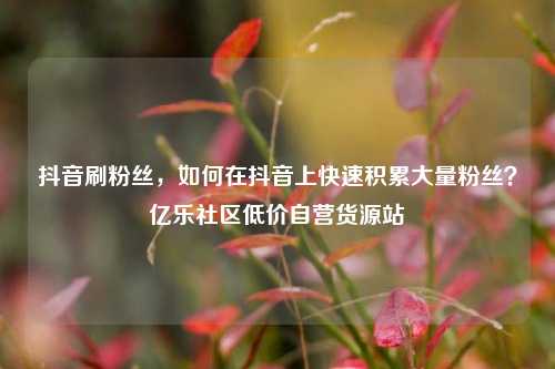 抖音刷粉丝	，如何在抖音上快速积累大量粉丝？亿乐社区低价自营货源站  第1张