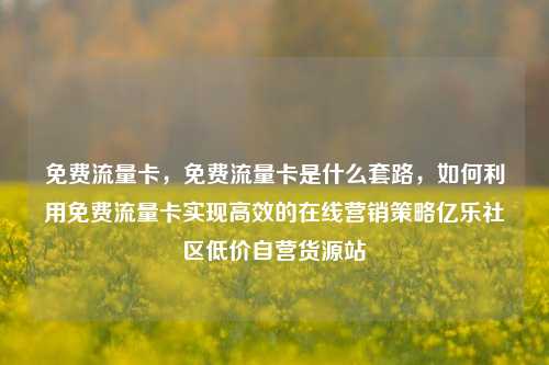 免费流量卡	，免费流量卡是什么套路，如何利用免费流量卡实现高效的在线营销策略亿乐社区低价自营货源站  第1张