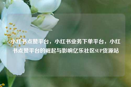 小红书点赞平台，小红书业务下单平台，小红书点赞平台的崛起与影响亿乐社区SUP货源站  第1张