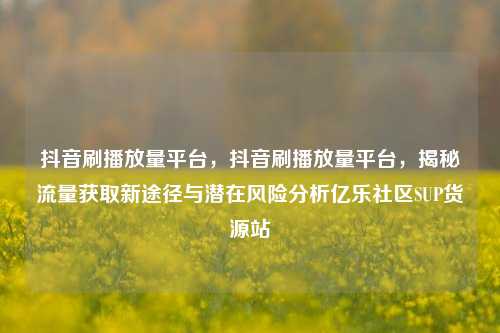 抖音刷播放量平台	，抖音刷播放量平台，揭秘流量获取新途径与潜在风险分析亿乐社区SUP货源站  第1张