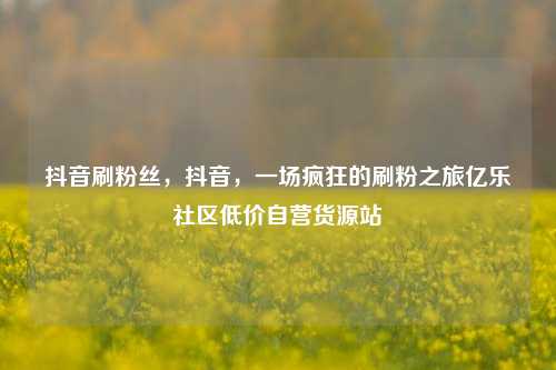 抖音刷粉丝，抖音	，一场疯狂的刷粉之旅亿乐社区低价自营货源站  第1张