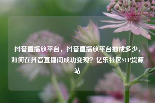 抖音直播放平台	，抖音直播放平台抽成多少，如何在抖音直播间成功变现？亿乐社区SUP货源站  第1张