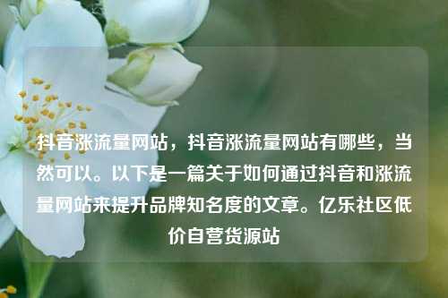 抖音涨流量网站，抖音涨流量网站有哪些	，当然可以。以下是一篇关于如何通过抖音和涨流量网站来提升品牌知名度的文章	。亿乐社区低价自营货源站  第1张