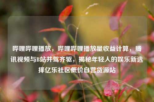 哔哩哔哩播放，哔哩哔哩播放量收益计算	，腾讯视频与B站并驾齐驱，揭秘年轻人的娱乐新选择亿乐社区低价自营货源站  第1张