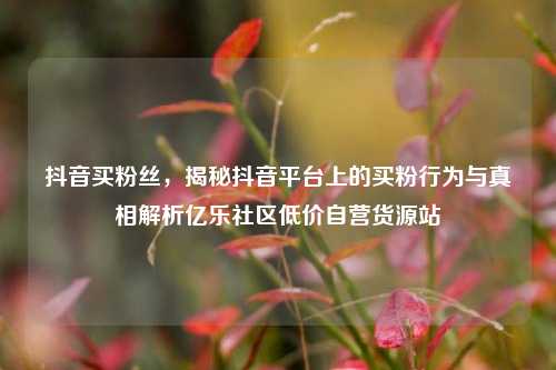 抖音买粉丝，揭秘抖音平台上的买粉行为与真相解析亿乐社区低价自营货源站  第1张