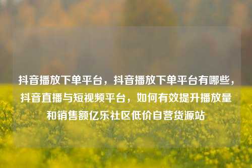 抖音播放下单平台，抖音播放下单平台有哪些，抖音直播与短视频平台	，如何有效提升播放量和销售额亿乐社区低价自营货源站  第1张