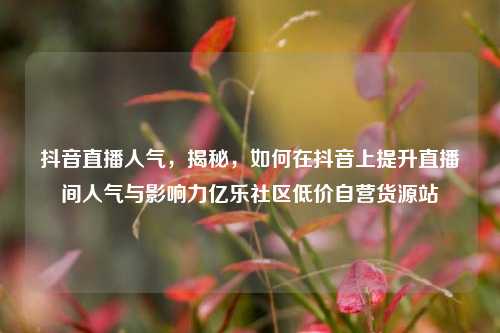 抖音直播人气，揭秘	，如何在抖音上提升直播间人气与影响力亿乐社区低价自营货源站  第1张