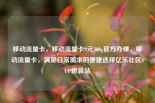 移动流量卡，移动流量卡9元300g官方办理，移动流量卡	，满足日常需求的便捷选择亿乐社区SUP货源站  第1张