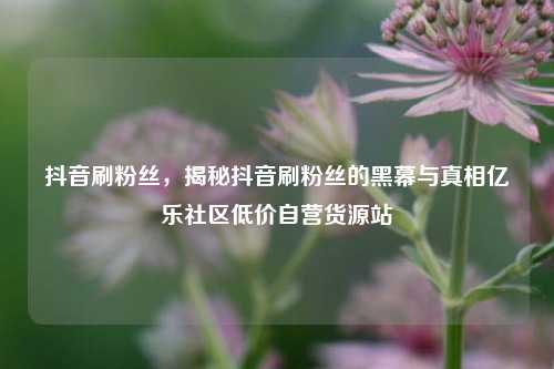 抖音刷粉丝，揭秘抖音刷粉丝的黑幕与真相亿乐社区低价自营货源站  第1张
