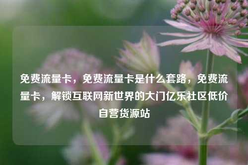 免费流量卡，免费流量卡是什么套路	，免费流量卡，解锁互联网新世界的大门亿乐社区低价自营货源站  第1张