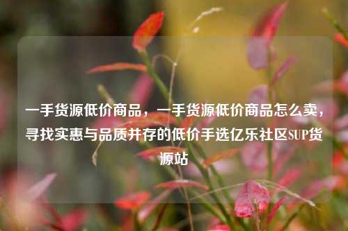 一手货源低价商品，一手货源低价商品怎么卖，寻找实惠与品质并存的低价手选亿乐社区SUP货源站  第1张