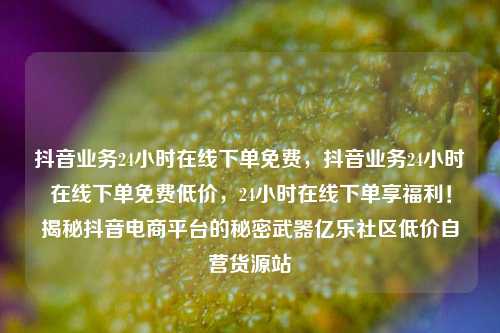 抖音业务24小时在线下单免费，抖音业务24小时在线下单免费低价，24小时在线下单享福利！揭秘抖音电商平台的秘密武器亿乐社区低价自营货源站  第1张