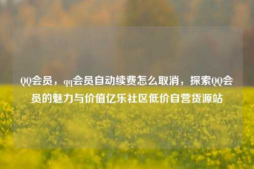 QQ会员，qq会员自动续费怎么取消，探索QQ会员的魅力与价值亿乐社区低价自营货源站  第1张
