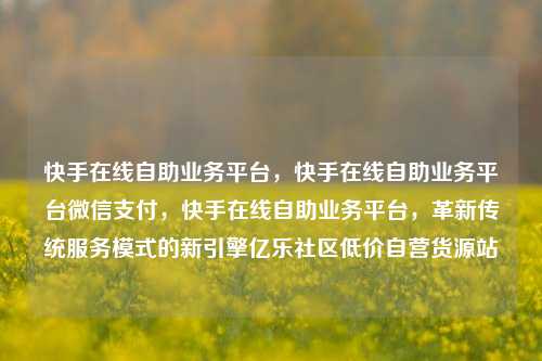 快手在线自助业务平台	，快手在线自助业务平台微信支付，快手在线自助业务平台，革新传统服务模式的新引擎亿乐社区低价自营货源站  第1张